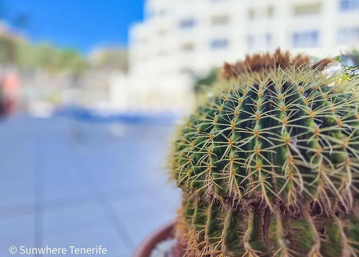 Mona\'S Point Tenerife - Aircon, Private Parking And Heated Pool